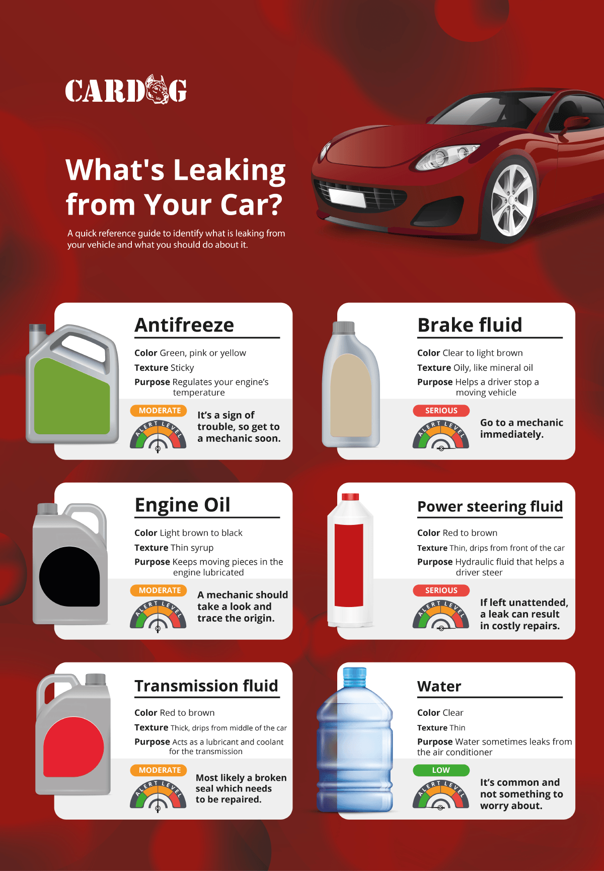 What is Leaking from your Car